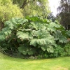 Barham Park, Wembley, Greater London