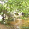 Fingle Bridge