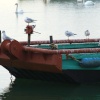 Keyhaven, Hampshire