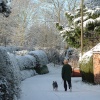 Walking the dog in snowy Bungay, Suffolk