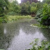 The water garden at Pine Lodge Gardens, Holmbush, Cornwall