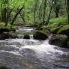 Golitha Falls, Draynes, Cornwall
