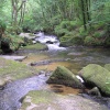 Golitha Falls, Draynes, Cornwall