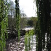 River Wharfe, Otley, West Yorkshire