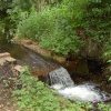 Stream at Oxburgh Hall, Norfolk