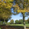 Autumn Leaves at Fairlands Valley Park, Stevenage, Hertfordshire