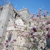 Romsey Abbey, Hampshire