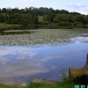 Hardwick Estate, Doe Lea, Derbyshire