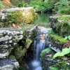 Autumn at Exbury Gardens, Hampshire