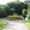 Garden Path at Tyntesfield, Wraxall, Somerset