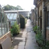 Greenhouses at Tyntesfield, Wraxall, Somerset