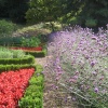 Flower garden at Tyntesfield, Wraxall, Somerset