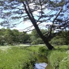Walsingham Abbey grounds, Little Walsingham, Norfolk