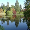 Reflections in the Lake at Sheffield Park, Uckfield, East Sussex