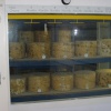 Cheddar Gorge Cheese Co.