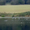 Sprotbrough Flash, South Yorkshire