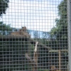 Newquay Zoo, Cornwall