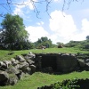 Newquay Zoo, Cornwall
