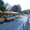 Newquay Zoo, Cornwall