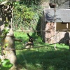 Newquay Zoo, Cornwall