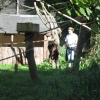 Newquay Zoo, Cornwall