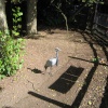 Newquay Zoo, Cornwall