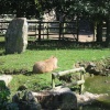 Newquay Zoo, Cornwall