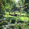 Newquay Zoo, Cornwall