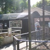 Newquay Zoo, Cornwall