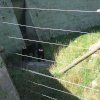 Newquay Zoo, Cornwall