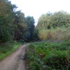 Sherwood Pines Forest Park