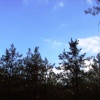 Sherwood Pines Forest Park