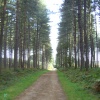 Sherwood Pines Forest Park
