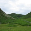 The Valley of the Rocks, Lynton, Devon.