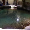 Roman Baths, Bath
