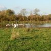 Wanlip Meadows, Leicestershire