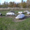 Brodsworth Community Woodland sculpture, South Yorkshire