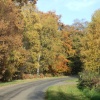 Autumn near Newtown Linford, Leicestershire