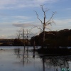 The View, Clumber Country Park, Worksop, Nottinghamshire
