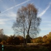 Clumber Country Park, Worksop, Nottinghamshire