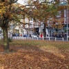 Autumn by Ealing Green, Greater London