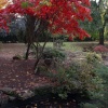Autumn, Walpole Park