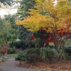 Autumn, Walpole Park