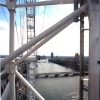 London Eye, Westminster Palace, and River Thames