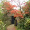 The boathouse at Winkworth, framed by autumn gold