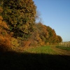 Autumn at Chartam Woods near Canterbury