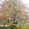 Autumn, Chesterton, Oxfordshire