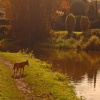 Cass at Polesworth, Warwickshire