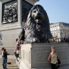 Trafalgar Square - Lion at Work