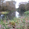 The River Wreake (Rhubarb Island)